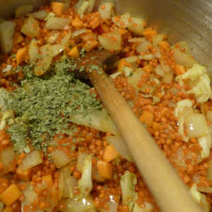 Rote Linsen Suppe mit Kokosmilch biologisch-lecker Bio Blog 11
